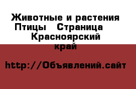 Животные и растения Птицы - Страница 3 . Красноярский край